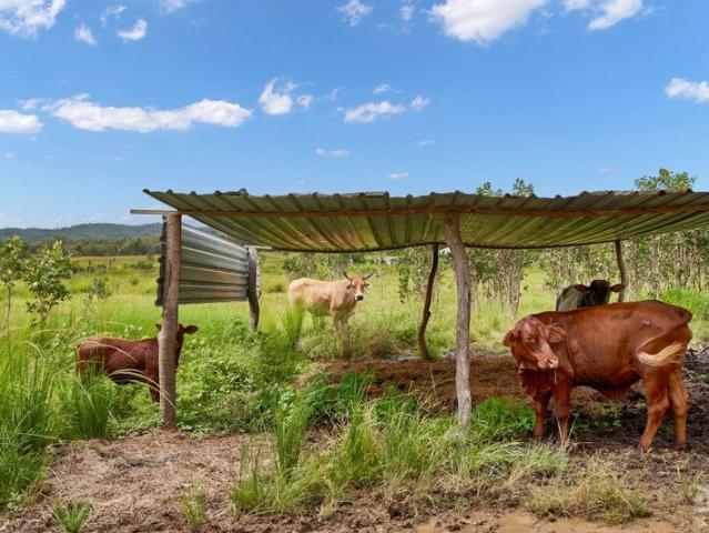 Country living done right