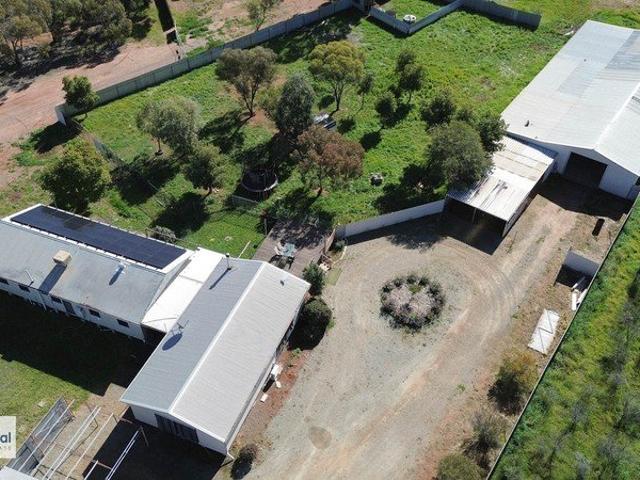 Country Living on 4 Acres
