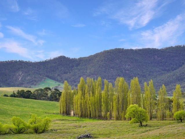 Country Living, Stunning Views & Room to Grow