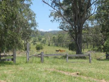 COUNTRY ROAD, TAKE ME HOME