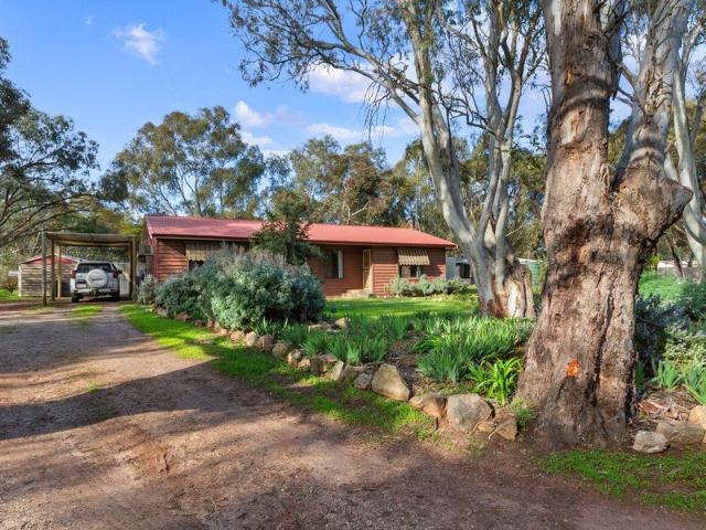 Country Space in a Quiet Auburn Setting