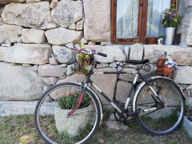 Countryhouse Maryna