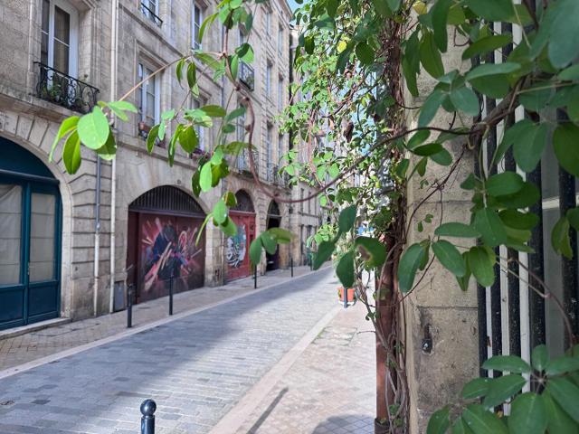 Coup de coeur assuré pour ce charmant refuge sous les toits. 49m² Bordeaux