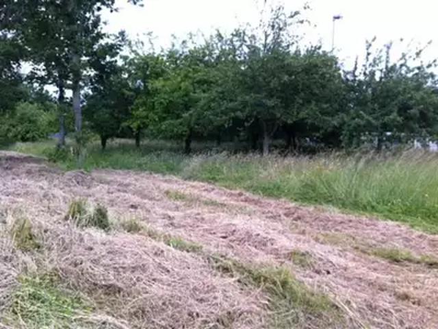 Courgivaux 51310 Programme neuf maison neuf à vendre 4 pièces