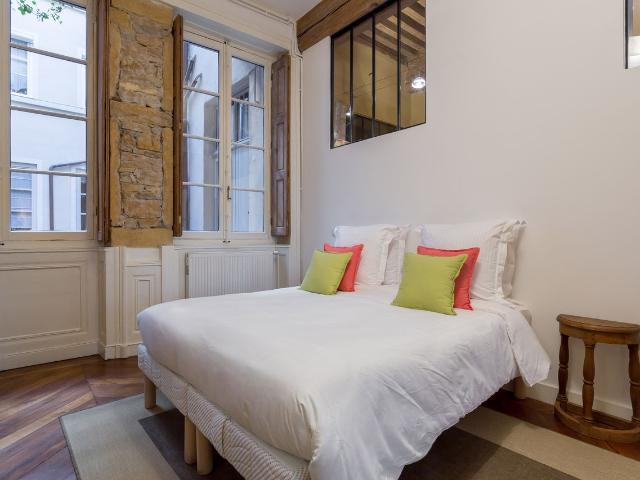 Coursive Near the Saone quay very spacious apartment with balcony, Lyon Amsterdam Apartments for Rent