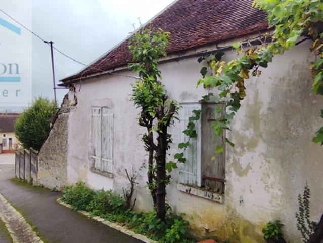 COUSSEGREY ensemble immobilier deux maisons et nombreuses dé