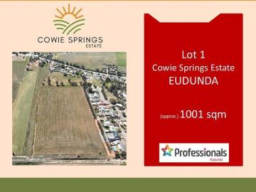 Cowie Springs Estate Now Selling, Get Your Block on Hold Today