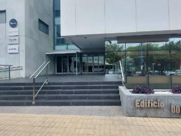 Calle Charles Darwin, Cartuja de Sevilla, Sevilla, Sevilla, Andalucía, Andalucía