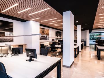 Plaça del bisbe Berenguer de Palou, Centro de Palma, Son Ferragut, Mallorca, Islas Baleares