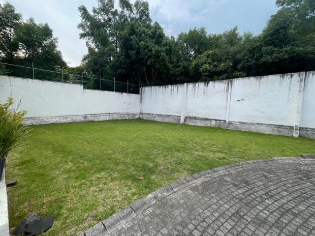 COYOACAN / Barrio de la Concepción