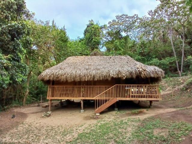 Cozy nature cabin near Caribbean beach