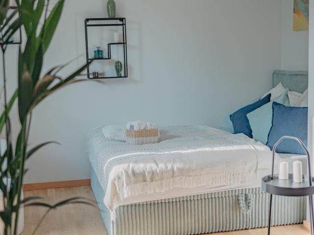 Cozy new apartment in the heart of Dresden