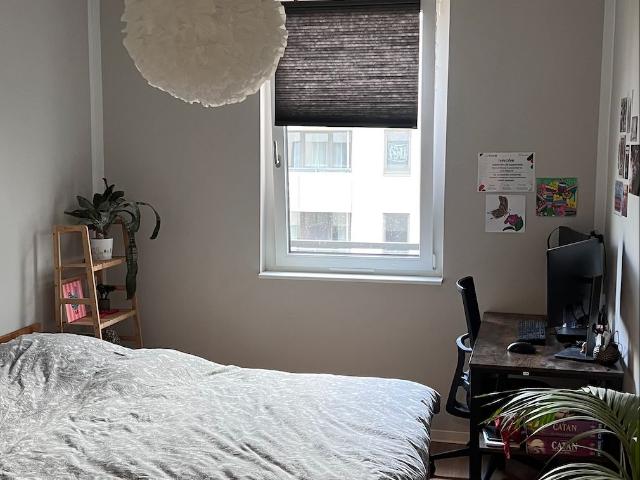 Cozy and bright 2 room apartment for temporary rent in Friedrichsfelde, Berlin Amsterdam Apartments for Rent