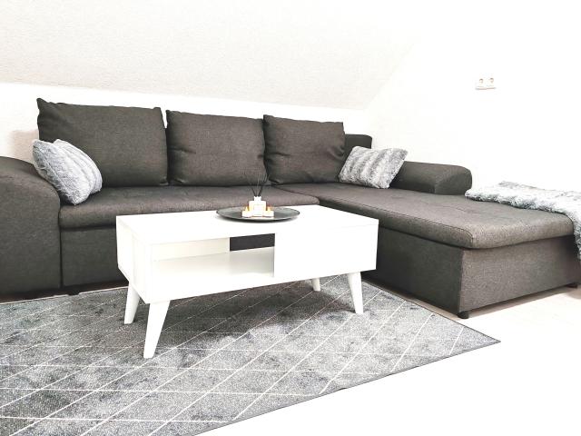 Cozy and bright apartment in Mainz Kostheim