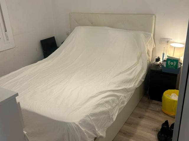Cozy and comfortable room