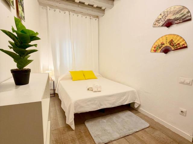 Cozy and Comfortable Studio in Barcelona’s Historic Gothic Quarter
