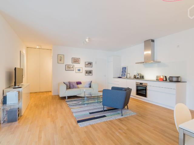 Cozy and fashionable Apartment, Berlin Amsterdam Apartments for Rent