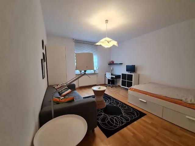Cozy and gorgeous loft in Mannheim