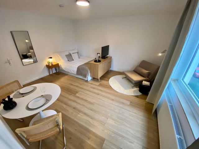 Cozy and modern 1 bedroom Apartment, Dusseldorf Amsterdam Apartments for Rent