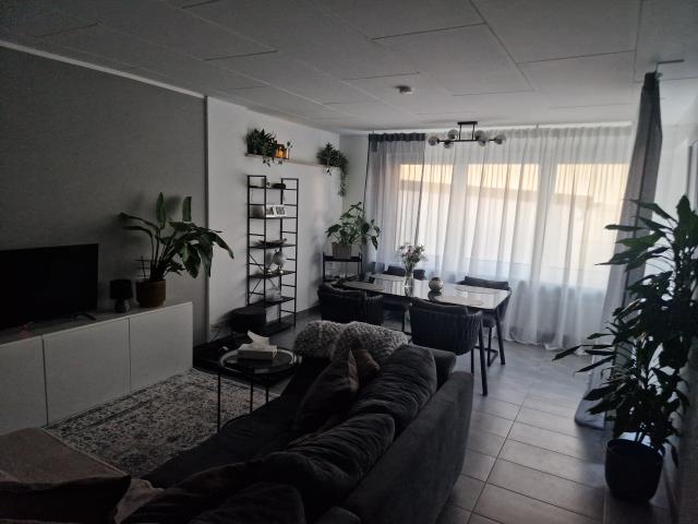 Cozy and modern studio with perfect connections