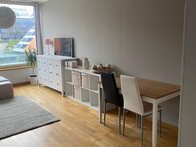 Cozy and new studio in Kreuzberg, Berlin Amsterdam Apartments for Rent