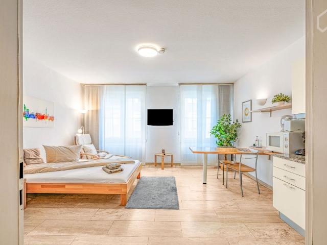 Cozy and quite studio close to Oldtown an Kö, Dusseldorf Amsterdam Apartments for Rent