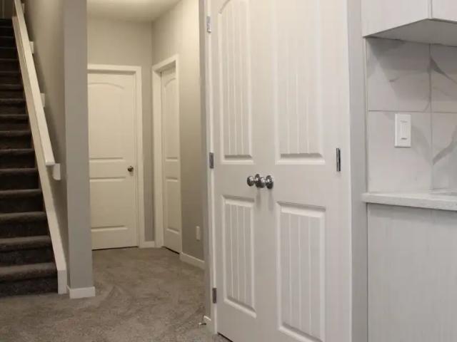 Cozy and Spacious 1 BR Basement Suite in Evanston NW