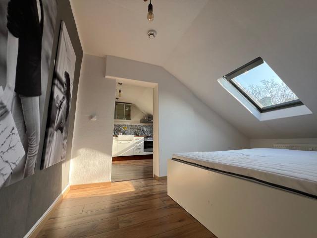 Cozy apartment centrally located in Düsseldorf, Dusseldorf Amsterdam Apartments for Rent