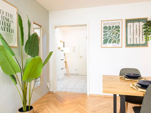 Cozy Apartment direct in the City huge balcony, Dresden Amsterdam Apartments for Rent