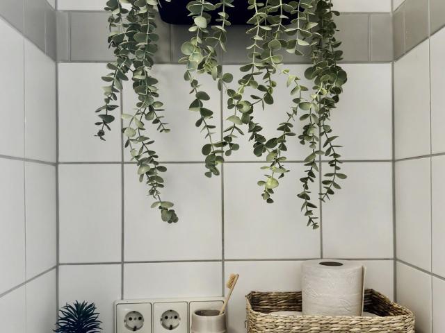 Cozy Apartment direct in the City huge balcony, Dresden Amsterdam Apartments for Rent