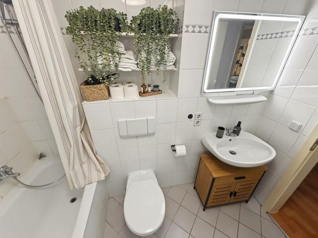 Cozy Apartment direct in the City huge balcony, Dresden Amsterdam Apartments for Rent