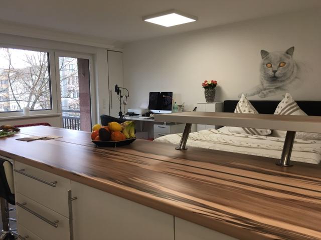 Cozy Apartment for Businesspeople in Stuttgart West
