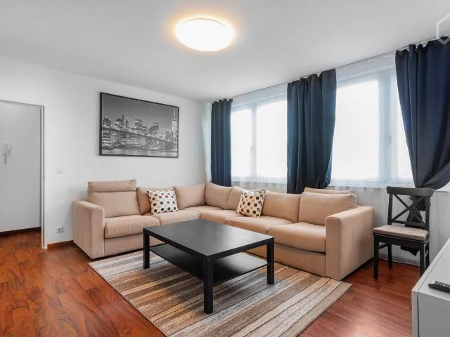 COZY APARTMENT in the Center!, Dusseldorf Amsterdam Apartments for Rent