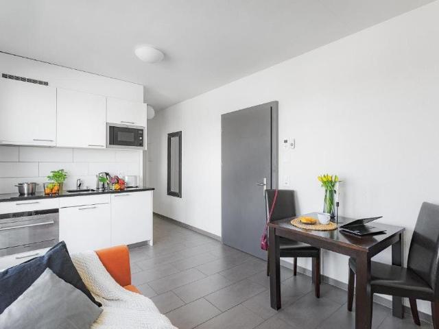 Cozy Apartment in Zurich Oerlikon – Fully Furnished & Well Connected, Zurich Amsterdam Apartments for Rent