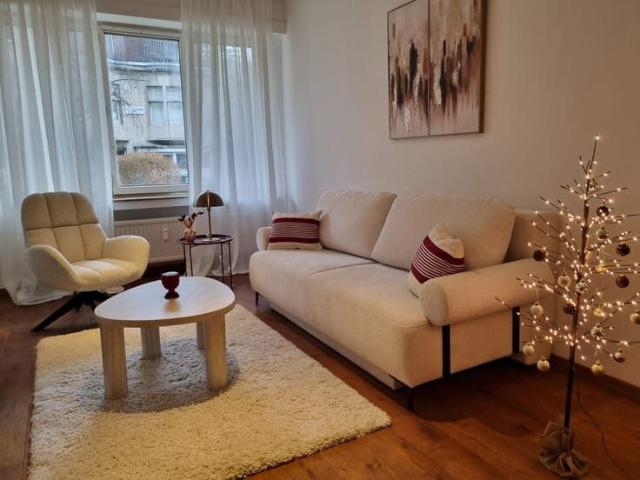 Cozy Apartment in a Prime Ixelles Location