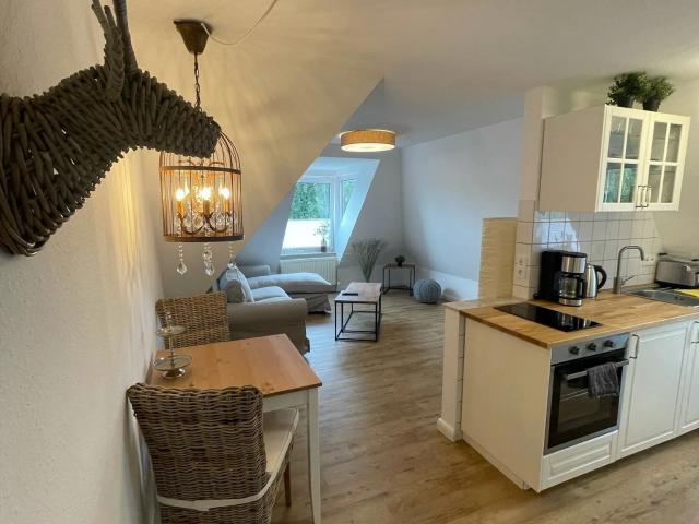 Cozy, beautiful apartment in Hameln