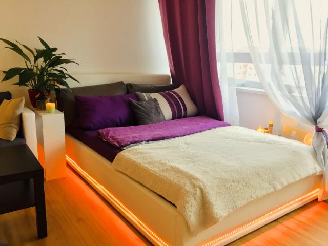 Cozy City Apartment, Berlin Amsterdam Apartments for Rent