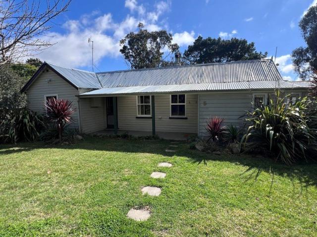 Cozy Cottage Including 3 Studios! IDEAL LOCATION!