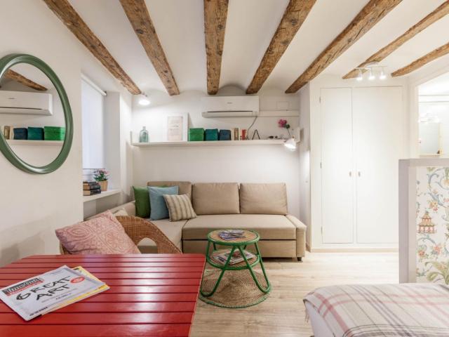 Cozy full equipped loft apartment in the city center Catalunya Square