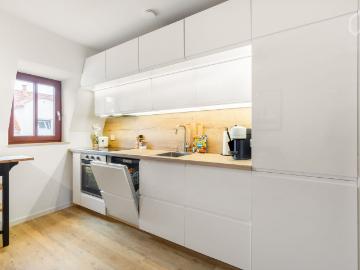 Menageriestraße, Hohenthalplatz