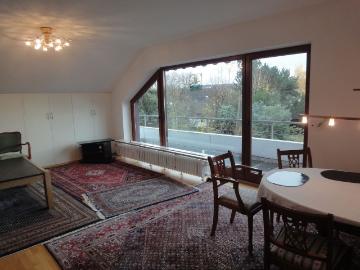 Cozy home with roof terrace in Bonn