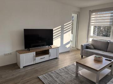 Cozy & lovely apartment in vibrant neighbourhood, Bremen Amsterdam Apartments for Rent