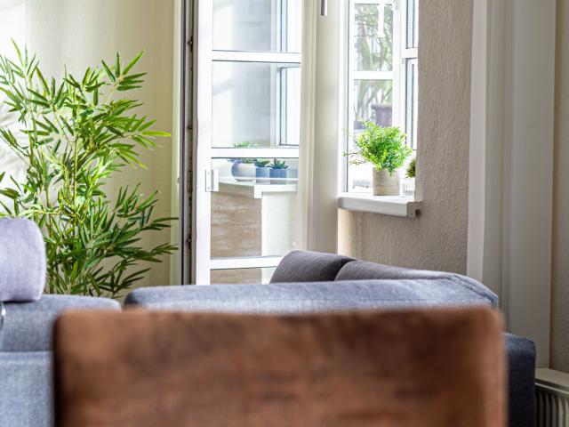 Cozy, lovely studio in Rostock