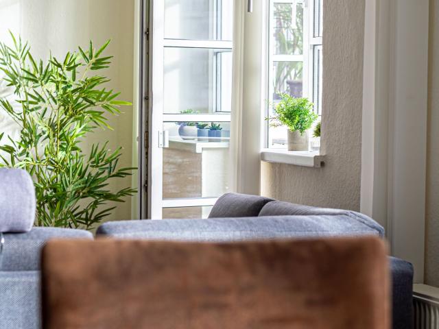 Cozy, lovely studio in Rostock, Rostock Amsterdam Apartments for Rent