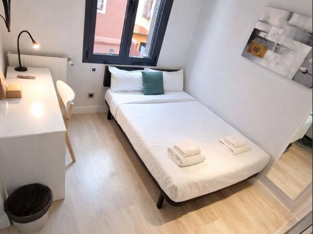 Cozy Private Room with En Suite Bathroom in Central Madrid, Madrid Amsterdam Apartments for Rent