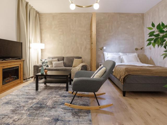 Cozy Studio Apartment in Central Vienna