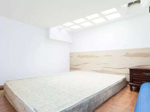 Cozy studio apartment with loft bedroom for rent in San Francisco Javier