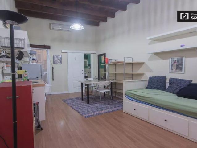 Cozy studio apartment with patio for rent in Regina La Encarnación