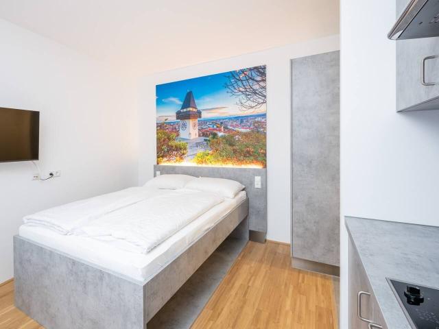 Cozy Studio Balcony WKO Steiermark Graz