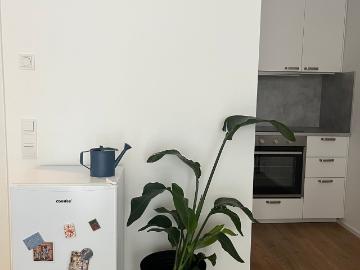 Cozy suite in Hürth, Hurth Amsterdam Apartments for Rent